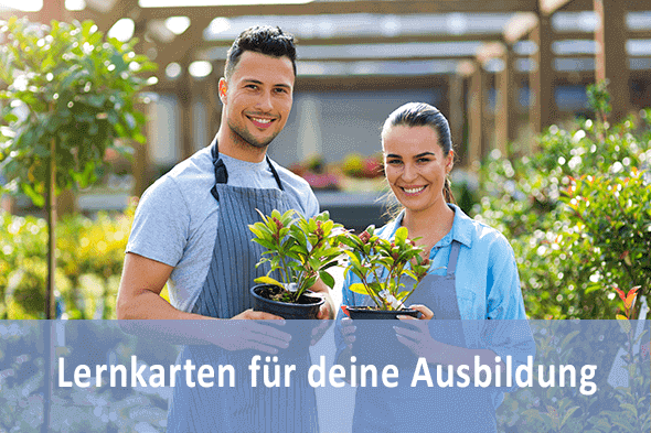 Lernkarten Florist für die Prüfungsvorbereitung