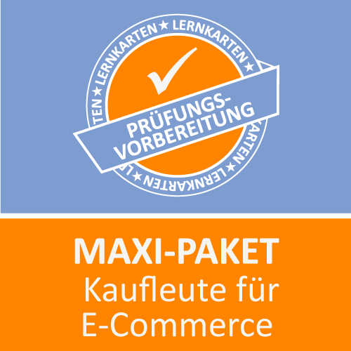 Maxi-Paket Kaufmann für E-Commerce - Lernkarten